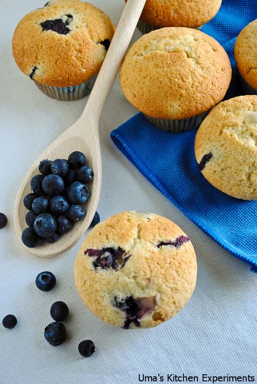 blue-berry-muffins-1