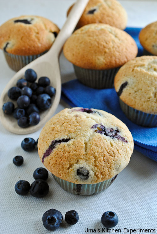 blue-berry-muffins-2