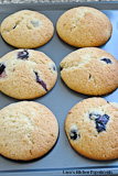 blue-berry-muffins-stp10