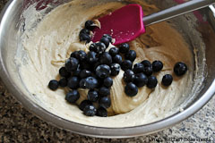 blue-berry-muffins-stp7