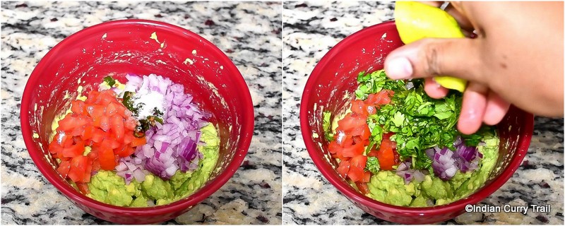 guacamole-sandwich-stp2