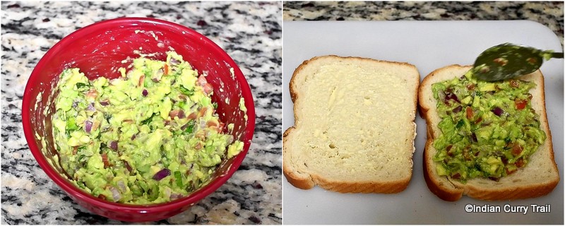 guacamole-sandwich-stp3