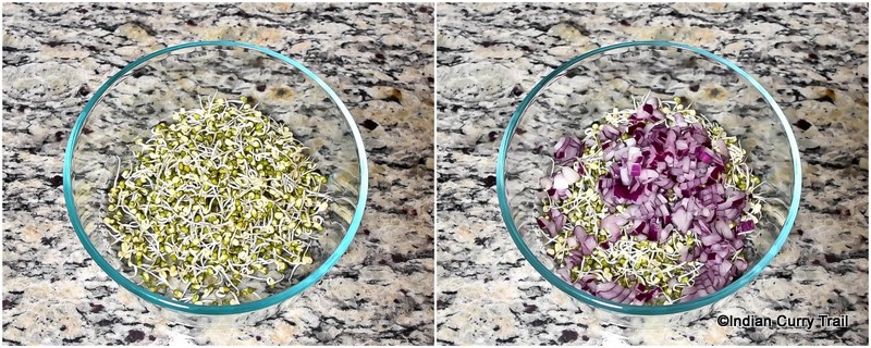 sprouted-moong-salad-stp1